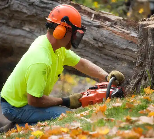 tree services Black Eagle